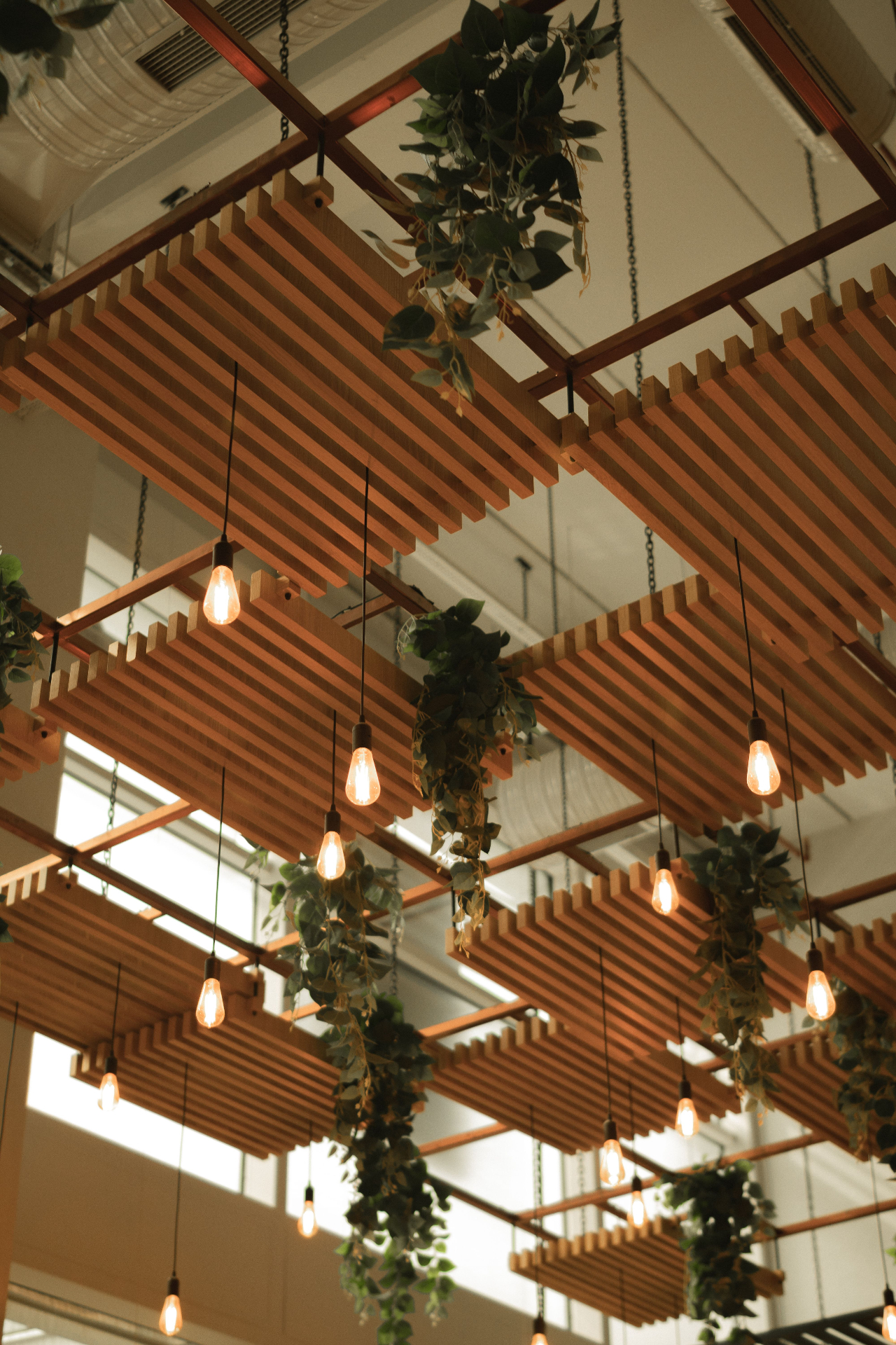 Modern commercial lighting installation with hanging Edison bulbs and wooden ceiling slats